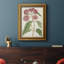 Toile encadrée de qualité supérieure Antique Botanical Collection-1277729711