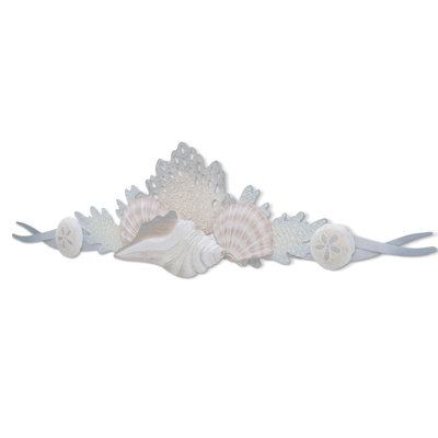 Coquille de récif