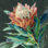 " Deep Protea " by Danhui Nai Painting Print