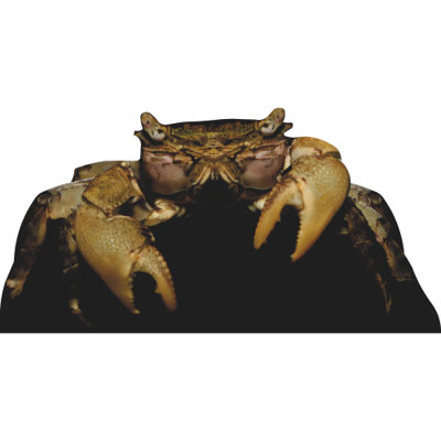 SP13484 Angry Crab Cardboard Cutout Standee Standup