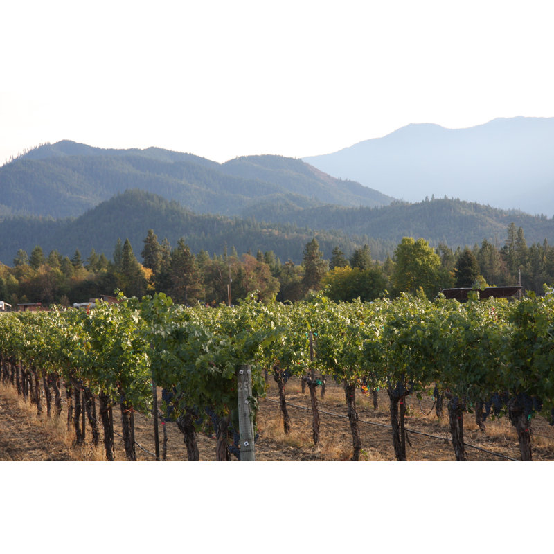 «Oregon Vineyard On Canvas» par Christiannafzger, photographie, L 12 po x H 8 po