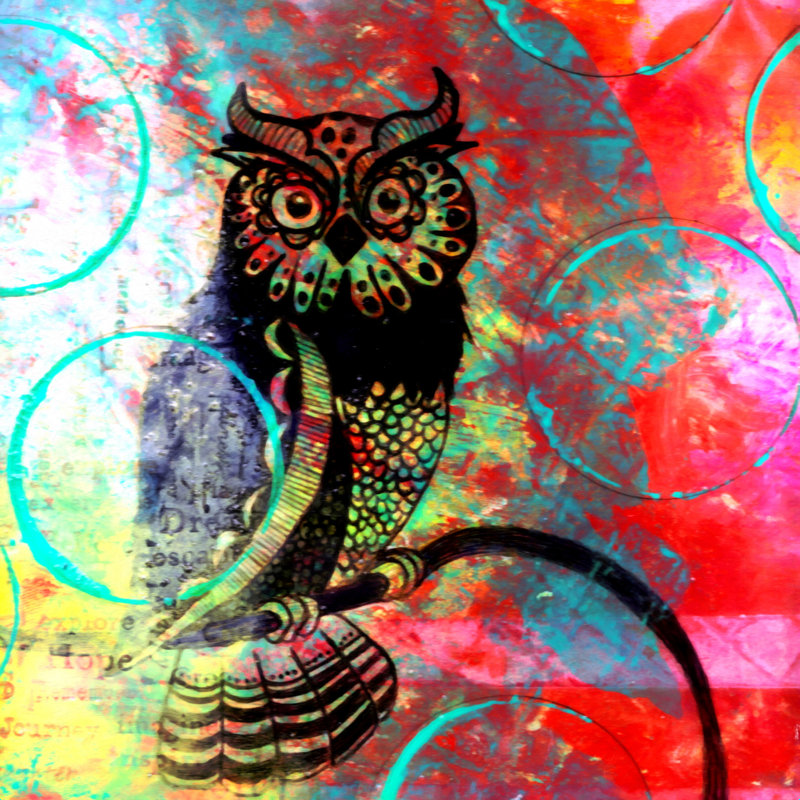 «Sophia Buddenhagen Color Owl» par Sophia Buddenhagen, reproduction sur toile tendue, H 30 po x l 30 po, Blanc