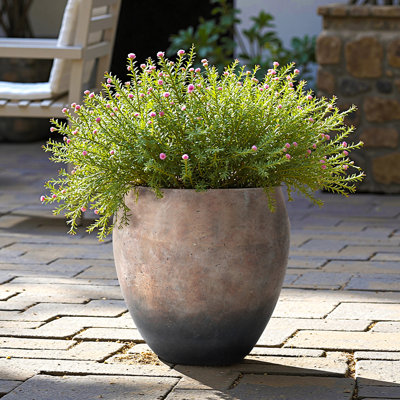 Pot de fleurs rond 14,2 po Dia