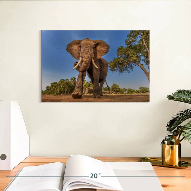Éléphant d'Afrique Brampt, H 8 po x l 12 po