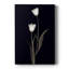 Tulipe Pose II sur toile-1754212297