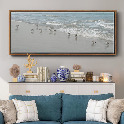 " Shorebirds "