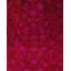 Tapis de couloir unique noué à la main Fine Vibrance - rose, 2 pi 9 po x 4 pi 3 po