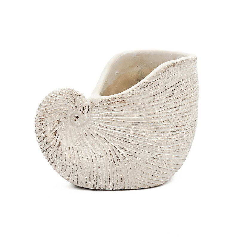 Versatile Nautilus Shell Cement Planter For Coastal & Rustic Themes Indoor Decor