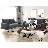 Mauck Modern Sofa,70 Inch Velvet Couch for Living Room,Spring Cushions,Solid Wood Frame,Easy Assembly for Small Spaces-860037017