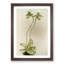 Magnolia Flowers Illustration Tab. 23 by Frederick Sander - Picture Frame Painting Print-55759160-55759165