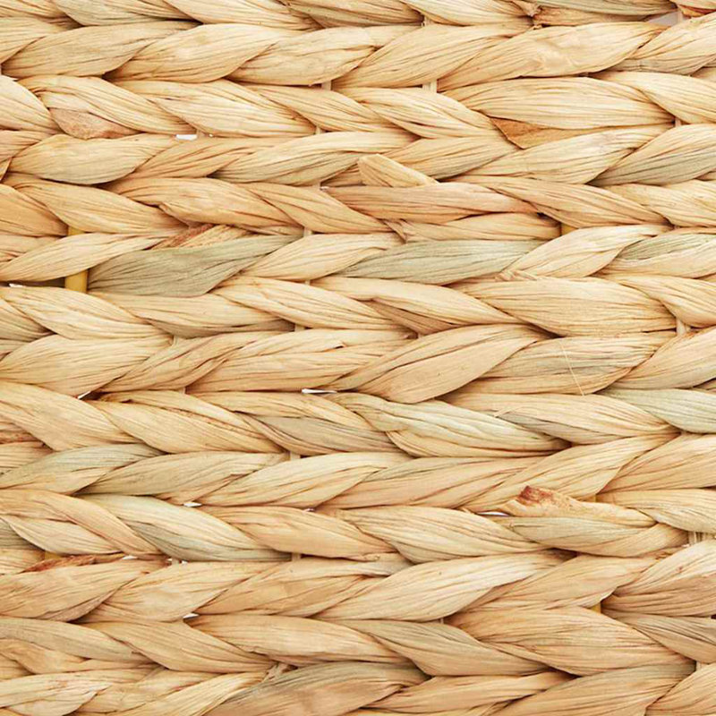 Water Hyacinth Tree Collar