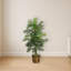 Palmier en soie Areca