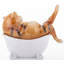 Animals Figurines & Sculptures