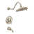 Polished Nickel