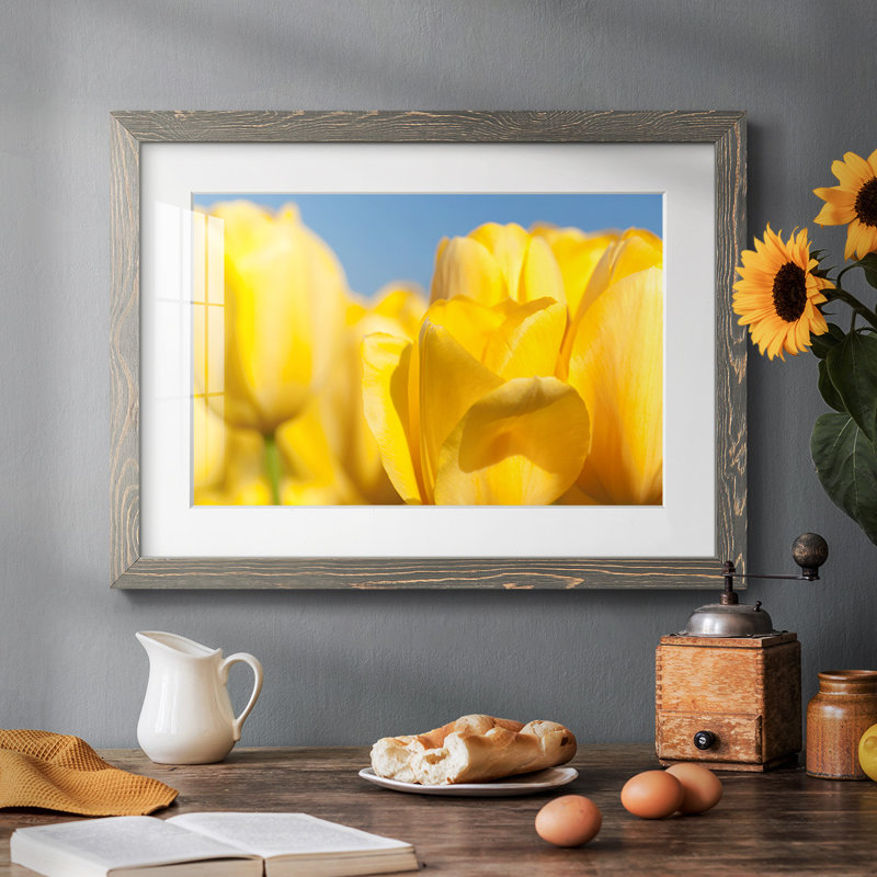 Sunshine Yellow I, reproduction encadrée sur papier, Gris, H 28 po x l 42 po x P 1,5 po