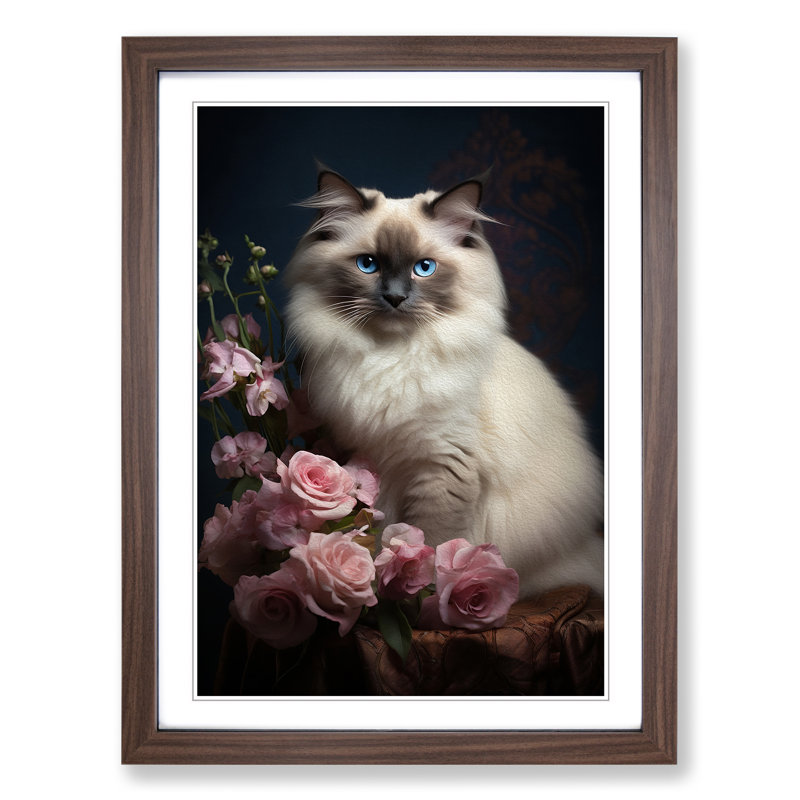 Ragdoll Cat Classicism - Single Picture Frame Print on Wood, Walnut Framed, 46cm H x 34cm W x 2cm D