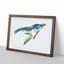 Chinese Cuckoo by George Shaw - Picture Frame Painting Print-55621285-55621284