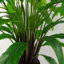 60cm Faux Plant in Pot Liner