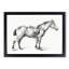 Horse with a Saddle by Jean Bernard - Framed Print-55579125-55579127