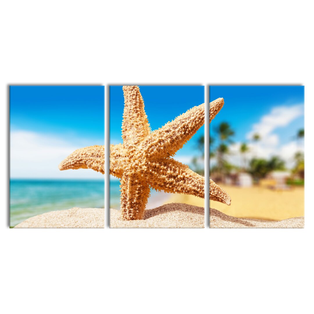 3-tlg. Leinwandbilder-Set Starfish Palm Beach