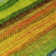 Machine Washable Indoor/Outdoor Xhevrie Green Rug