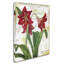 Jadaya «Peppermint Amaryllis» par Color Bakery, impression sur toile tendue-20094934