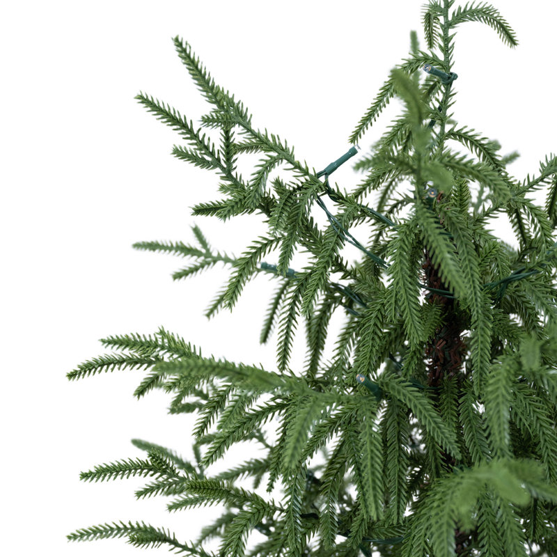 Ensemble de sapin de Noël en pot Everglow préilluminé en 4 pièces avec couronne, guirlande et lumières
