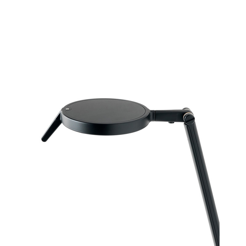 Aledin Adjustable Metal Desk Lamp, Matte Black