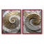 Plaster Dreams III - reproduction encadrée de qualité supérieure - prête à être accrochée - aucun clou requis - aucun clou requis-1089742517-1089742518