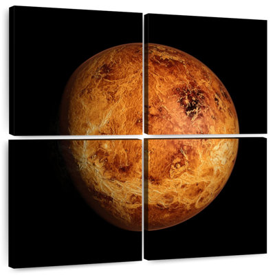 Oberle Venus Close Up
