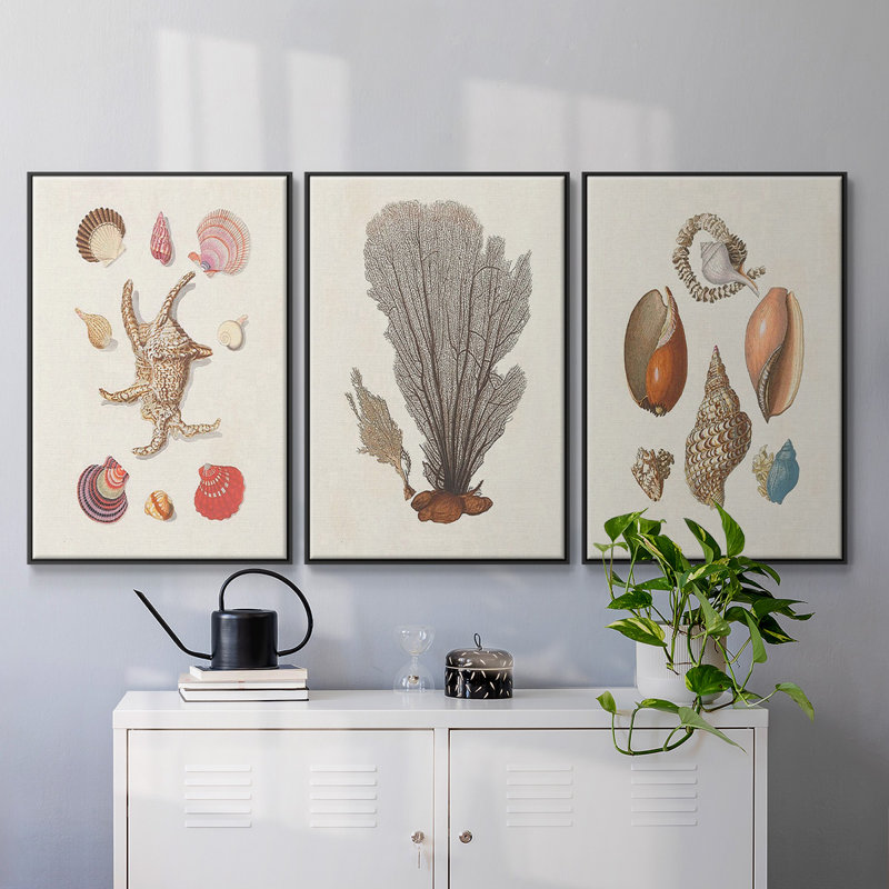 Knorr Shells & Coral I, ensemble de 3 toiles encadrées sur toile, H 40 po x l 78 po, Cadre noir