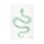 Strickler turquoise et squelette de serpent doré-72422542-72422541-35539549