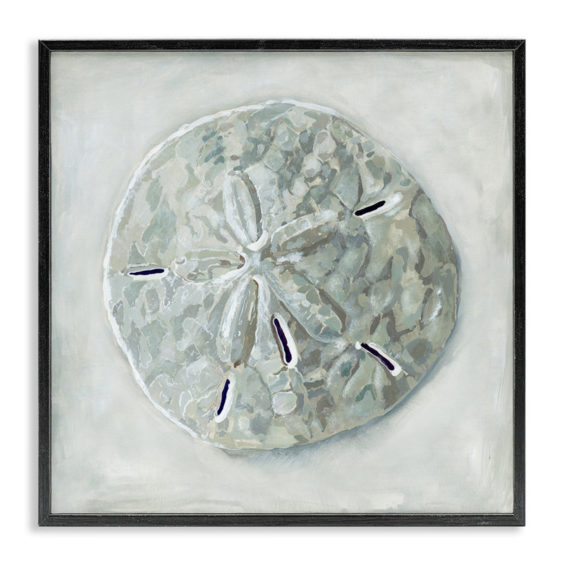 «Sand Dollar», art mural texturé giclée par Erica Christopher, Giclée encadrée noir minuit, H 17 po x l 17 po x P 1,5 po