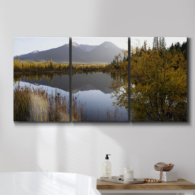 " Rose Studies IV " 3 - Pieces