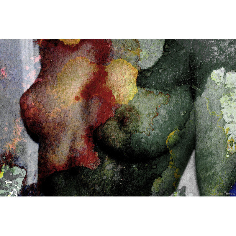 Parvez Taj - Wrapped Canvas Print, 51cm H x 76cm W