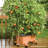 Lionnel Planter Box-1977765779