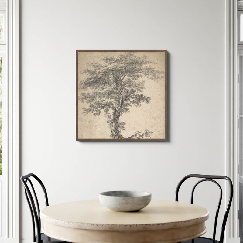 Étude d'un arbre imprimé par Jean Baptiste Pillement, Papier avec cadre photo noyer, Non, H 30 po x l 30 po