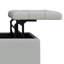 Harrison Coffee Table Storage Ottoman