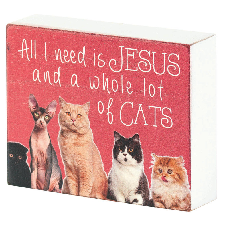 Brownson «All I Need is Jesus and Alot Cats»