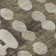 Premium Machine Washable Prisco Brown Rug