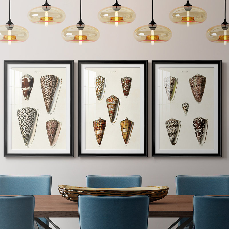 Cone Shell Collection I - Impression sur mesure encadrée de qualité supérieure - 3 pièces, H 19 po x l 27 po