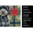 Miniature Black Poodle Christmas PoinsettIas Kitchen Towel-2080584183