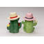 Cowboy et cow-boy cactus sel et poivre