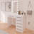 Boahaus Sofia Modern Lighted Vanity Table, Mirror with Lights Add-On, USB (Type A & C) and 06 Drawers for Storage