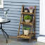 Aaleigha Wood Plant Stand