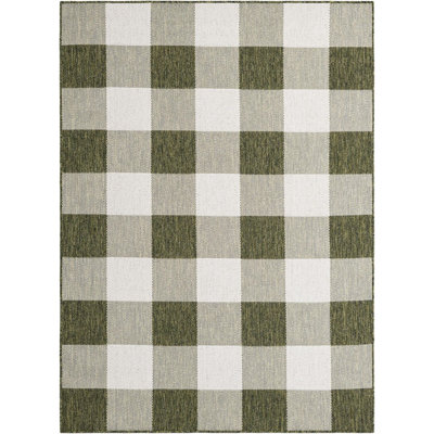 Tapis d'intérieur / extérieur de couleur verte Borrego