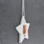 Vivid Squid Wholesale Santa Paws Cat Star Shaped Ceramic Ornament
