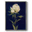 Impression encadrée «PRETTY AS A PEONY II» - bois massif-921987748