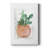 Boho Succulent -Custom Wrapped Gallery Cavas