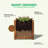 Square Acacia Wooden Planter Box, Raised Garden Bed for Outdoor Plants-540191022-540191023-540191021
